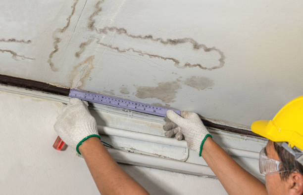 Reliable Burst Pipe Cleanup contractor in Naples, UT by Water Damage Irwin